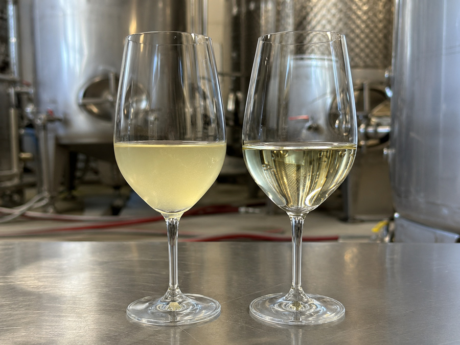 filtración del vino tras clarificación con placas cartuchos y membranas en bodega