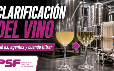 Clarificación del vino: agentes y cuándo filtrar