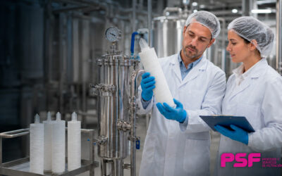 Filtros de pliegues industriales | PSF