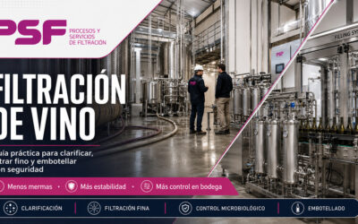 Filtración de vino: guía antes de embotellar